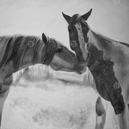 Horses lover - 12x12 Print on canvas