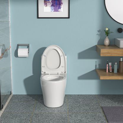 Ceramic One Piece Toilet,Dual Flush with Soft Clsoing Seat