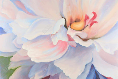 Pastel colored flower - 20x30 Print on canvas