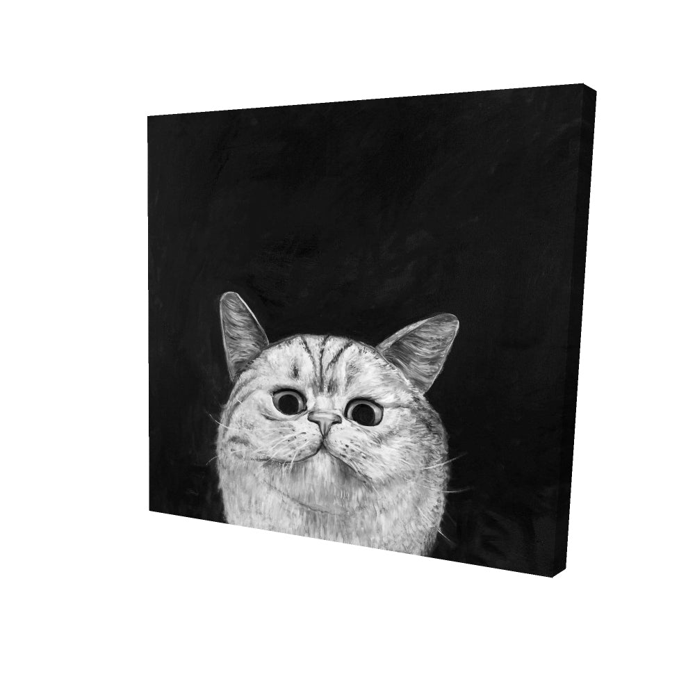 Watching cat - 16x16 Print on canvas