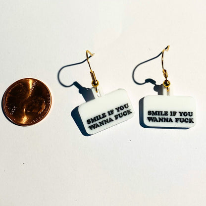 "Smile If You Wanna Fuck"  Earrings by White Market