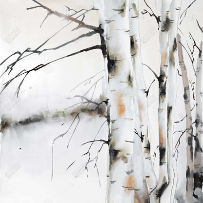 Winter birches - 12x12 Print on canvas