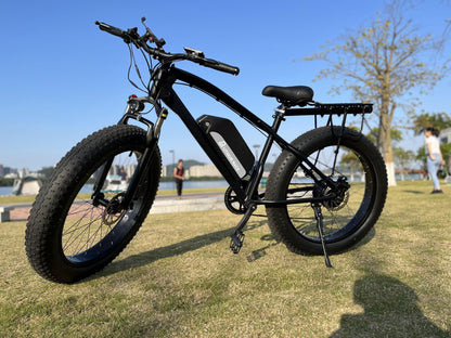 26inch 750W 48V13.2AH snow electric bicycle fat tire mountian E-bike off-road electric bicycles