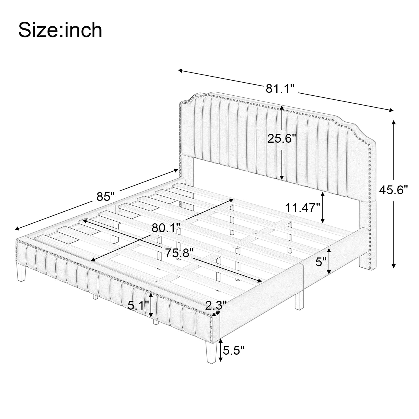 Modern Velvet Curved Upholstered Platform Bed , Solid Wood Frame , Nailhead Trim, Green (King)