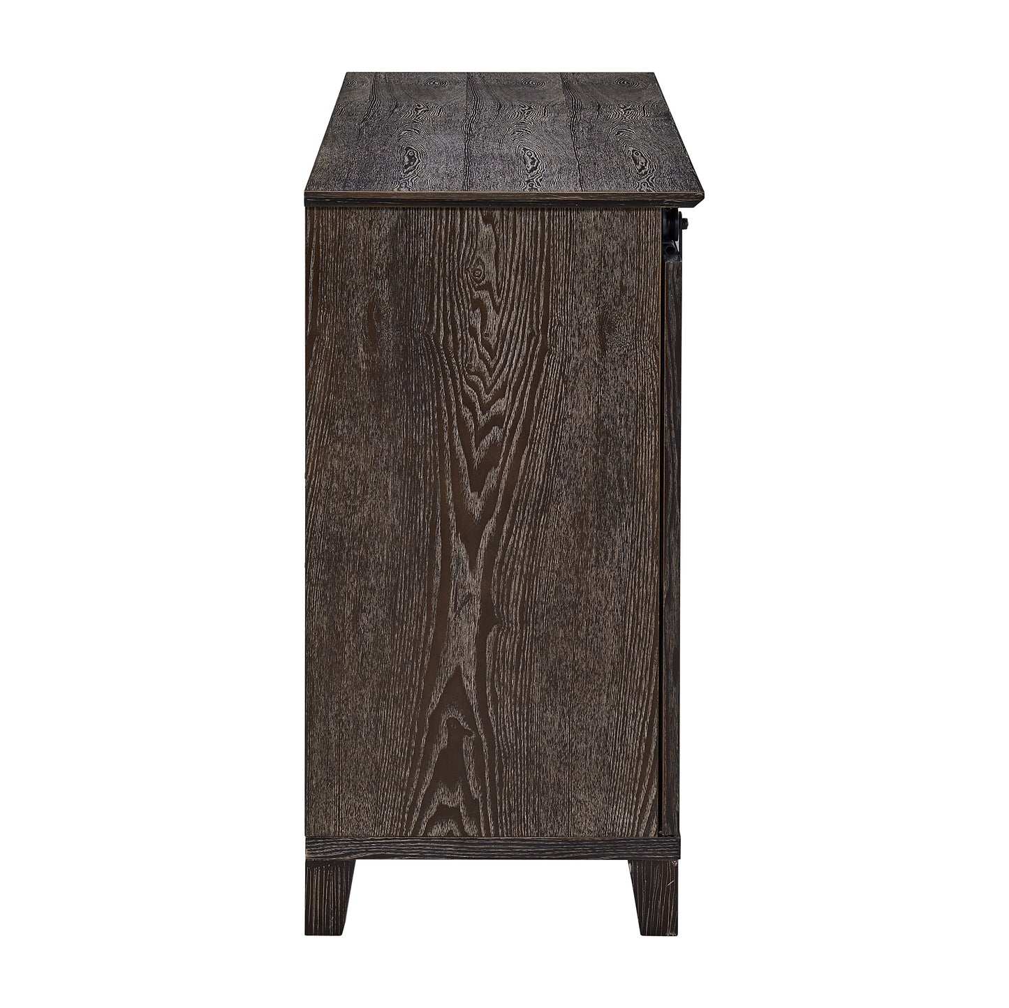 Holmes Barn Door TV Stand