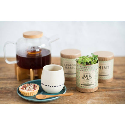 Kraft Seed Starter Kit - Tea Series by Karma Kiss