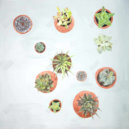 Cactus plants - 08x08 Print on canvas