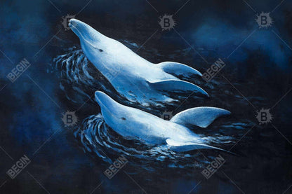 Two swimming dolphins - 20x30 Print on canvas