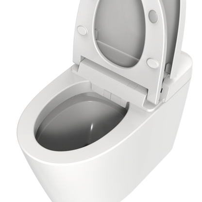 Smart Toilet U-Shaped LED Light Automatic Flush with Remote Control/Foot Sensor/Night Light T162A