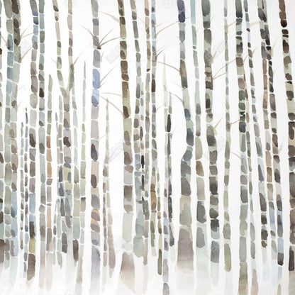 Birch trees forest - 08x08 Print on canvas