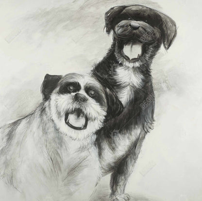 Happy dogs sketch - 08x08 Print on canvas