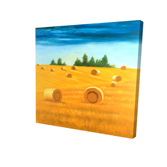 Landscape of the countryside - 12x12 Print on canvas