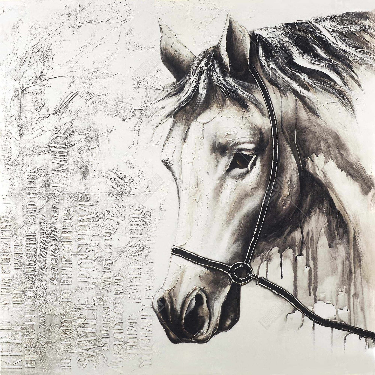 Alpha the white horse - 12x12 Print on canvas