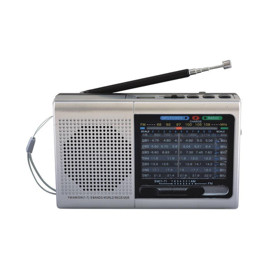 9 Band Radio With Bluetooth - Silver by VYSN