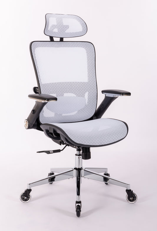 Ergonomic Mesh Office Chair - Rolling Home Desk Chair with 4D Adjustable Flip Armrests,  Adjustable Lumbar Support and Blade Wheels(WHITE MESH)