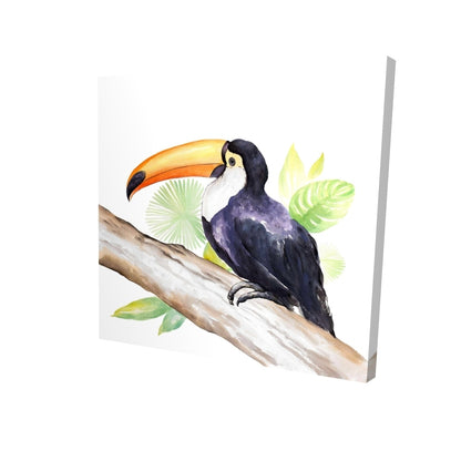 Toucan perched  - 08x08 Print on canvas