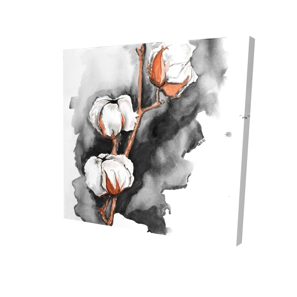 Cotton flowers on a black background - 16x16 Print on canvas