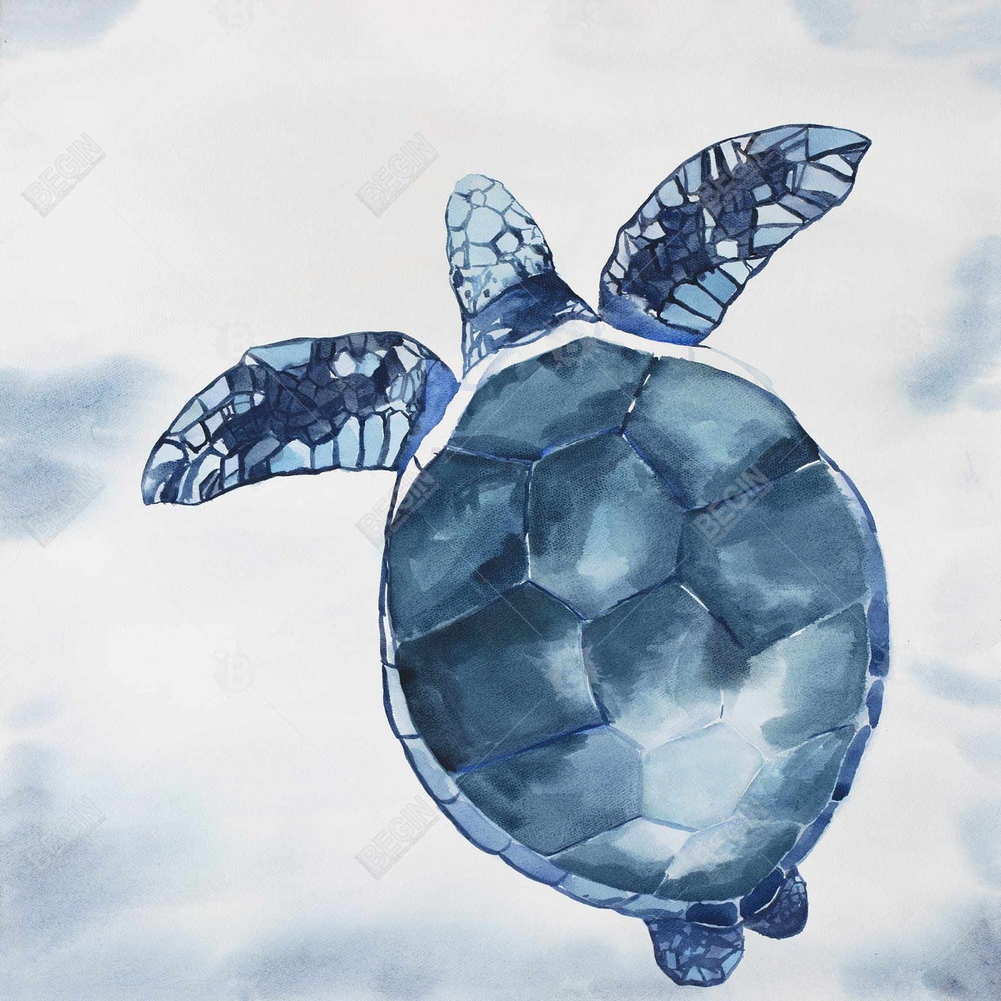 Watercolor blue turtle - 32x32 Print on canvas