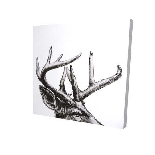 Roe deer plume - 08x08 Print on canvas