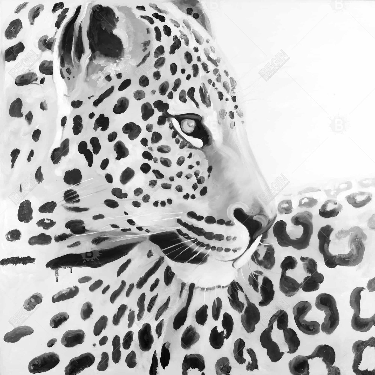 Beautiful leopard - 16x16 Print on canvas