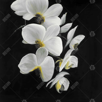 Beautiful orchids - 12x12 Print on canvas