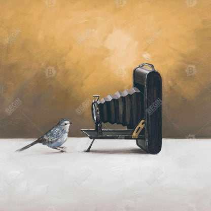 Old camera with bird - 12x12 Print on canvas