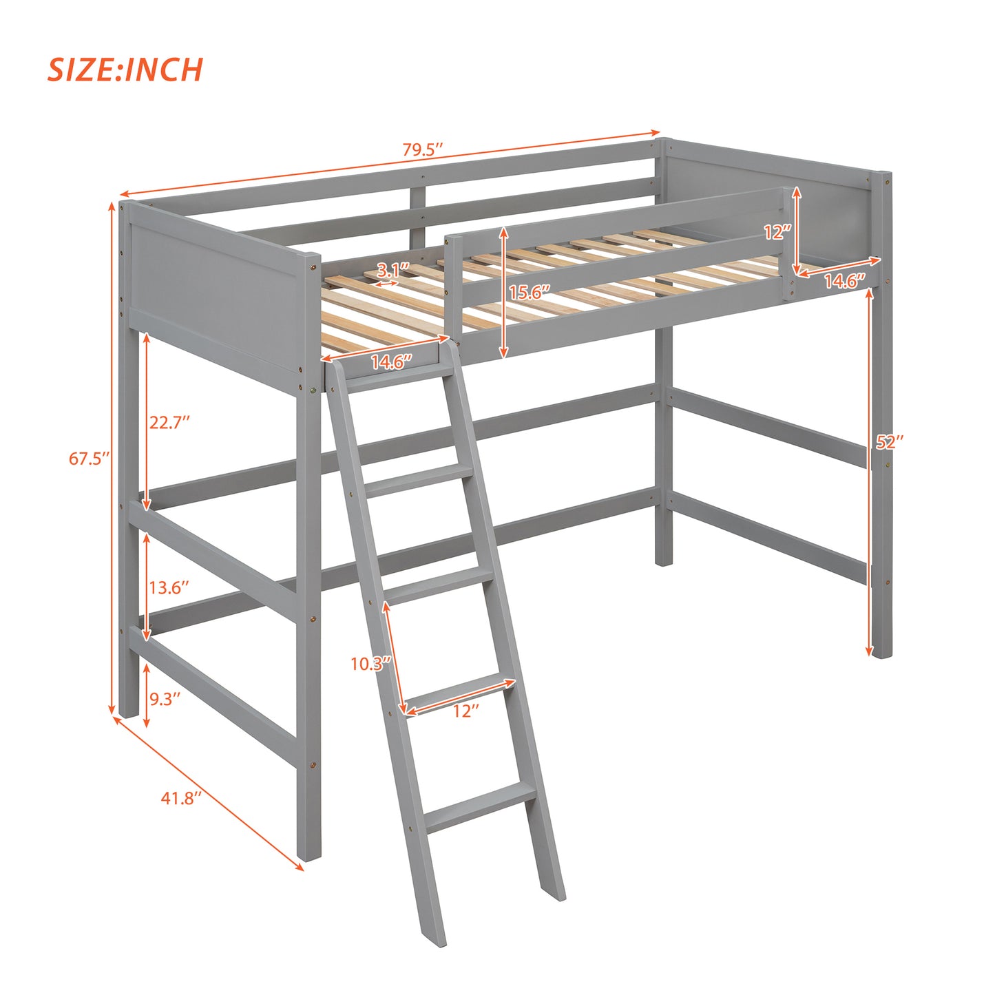 Solid Wood Twin Size Loft Bed with Ladder(Gray)(OLD SKU: WF191903AAE)