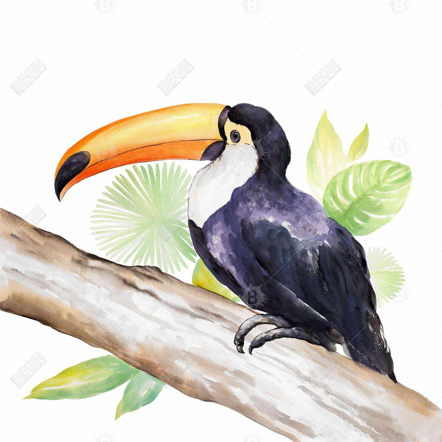 Toucan perched  - 08x08 Print on canvas