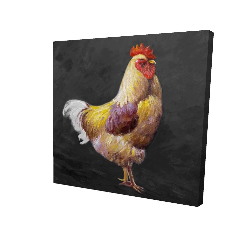 Beautiful rooster 2 - 16x16 Print on canvas