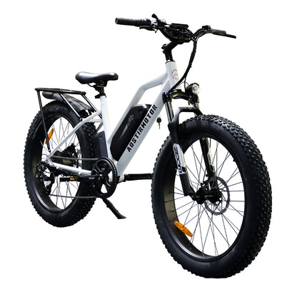 AOSTIRMOTOR 26" 750W Camouflage Electric Bike Fat Tire P7 48V 13AH Removable Lithium Battery for Adults with Detachable Rear Rack Fender(White)S07-G