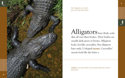 Amazing Animals - Classic Edition: Alligators by The Creative Company Shop