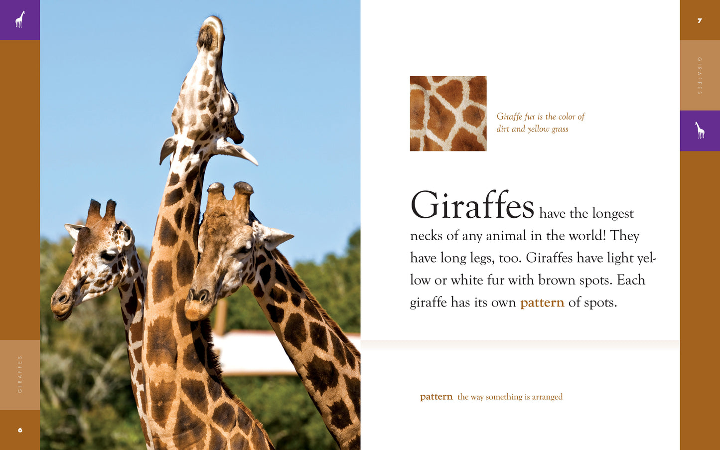 Amazing Animals - Classic Edition: Giraffes by The Creative Company Shop