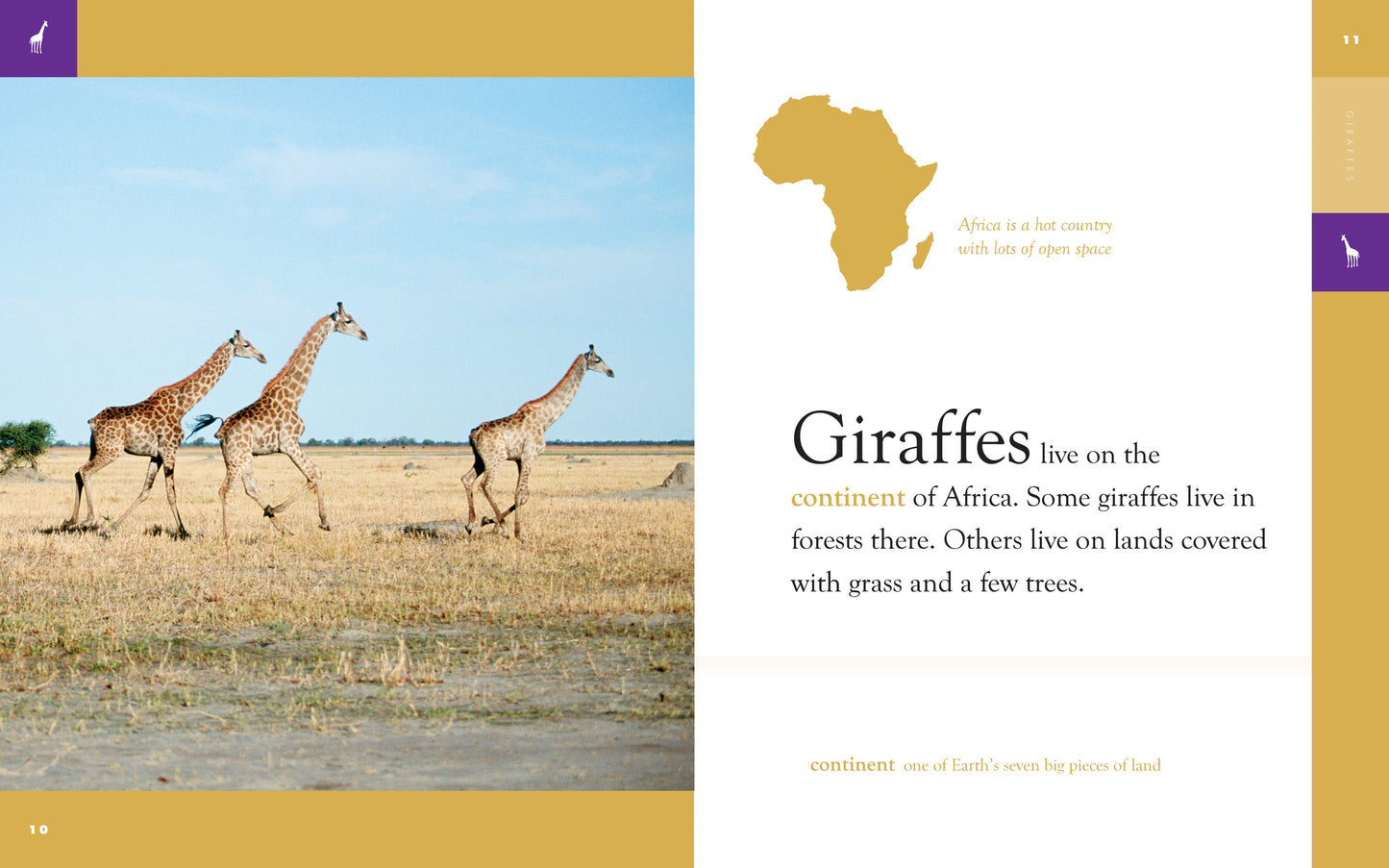 Amazing Animals - Classic Edition: Giraffes by The Creative Company Shop