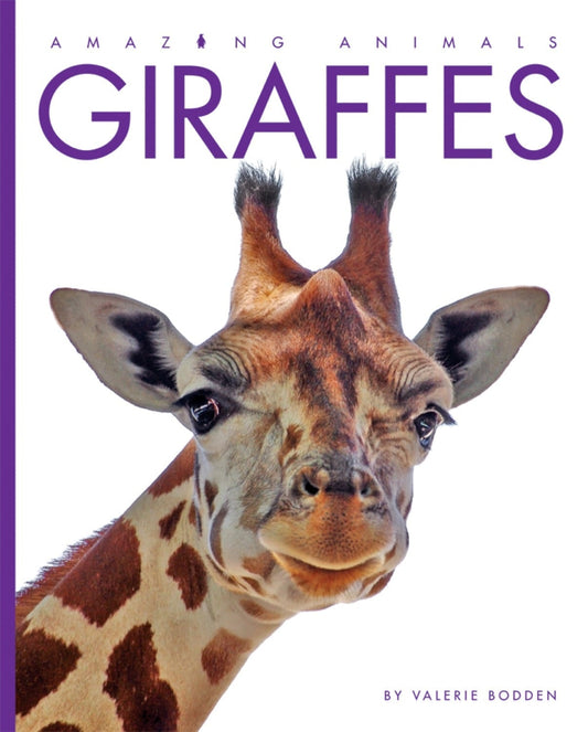 Amazing Animals - Classic Edition: Giraffes by The Creative Company Shop