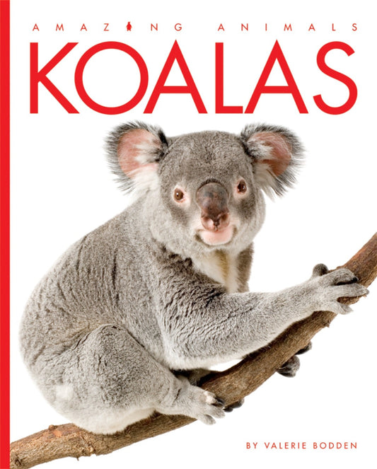 Amazing Animals - Classic Edition: Koalas by The Creative Company Shop