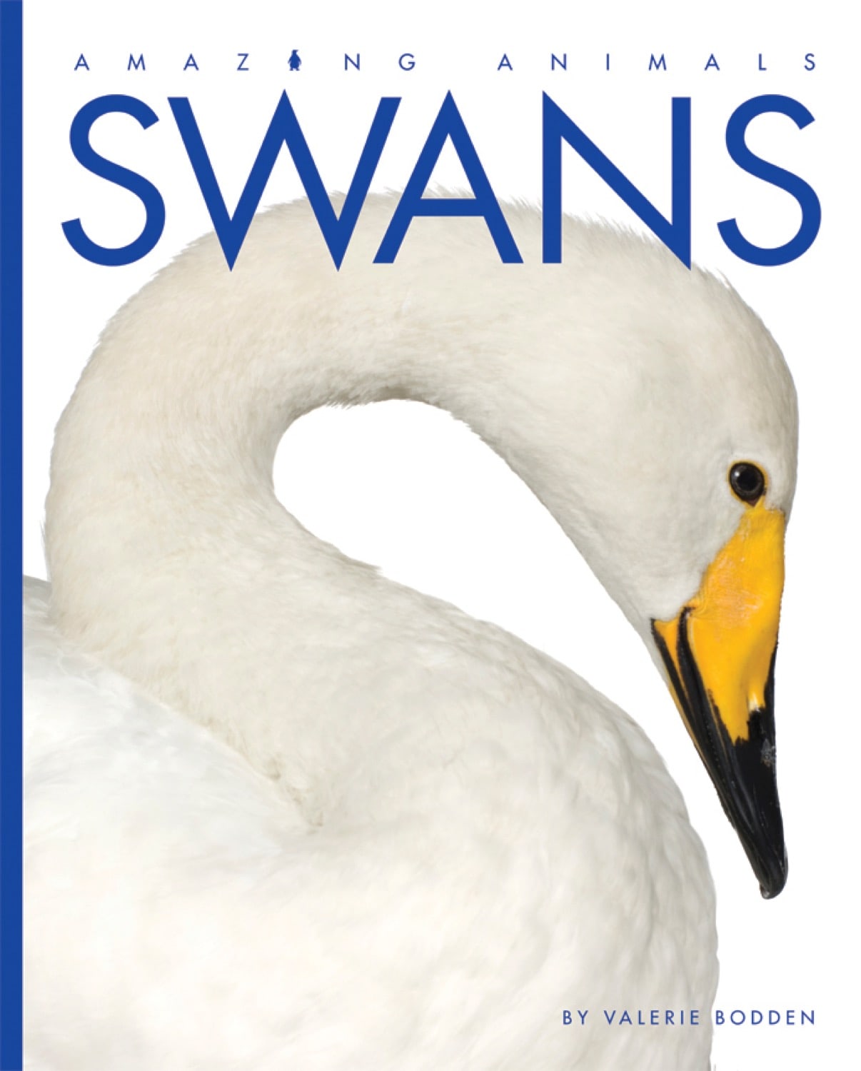 Amazing Animals - Classic Edition: Swans by The Creative Company Shop