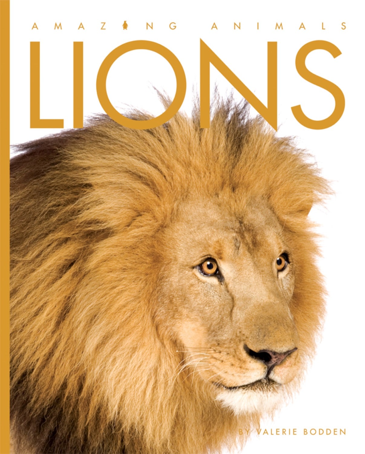 Amazing Animals - Classic Edition: Lion by The Creative Company Shop