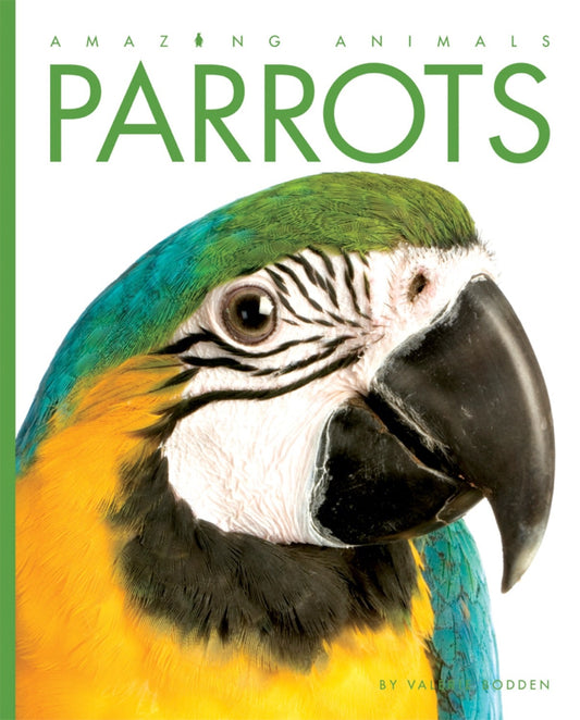 Amazing Animals - Classic Edition: Parrots by The Creative Company Shop
