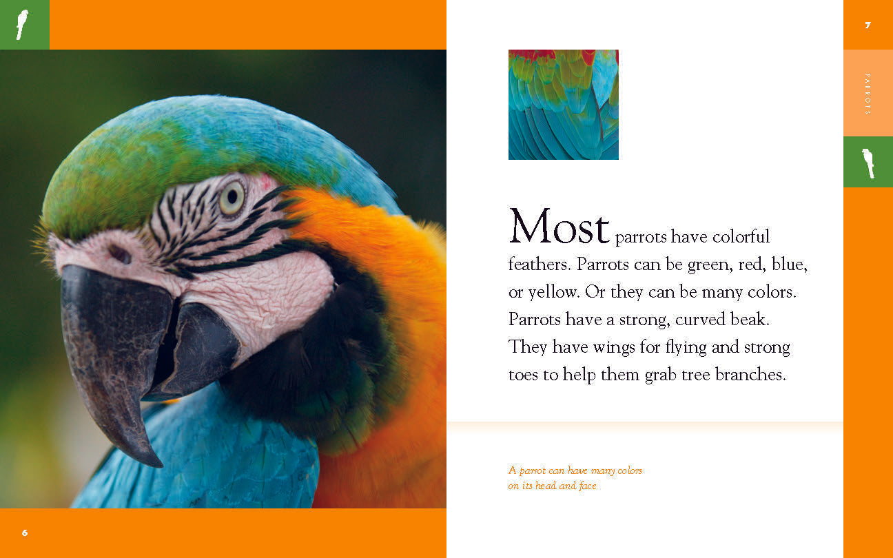 Amazing Animals - Classic Edition: Parrots by The Creative Company Shop