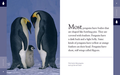 Amazing Animals - Classic Edition: Penguins by The Creative Company Shop