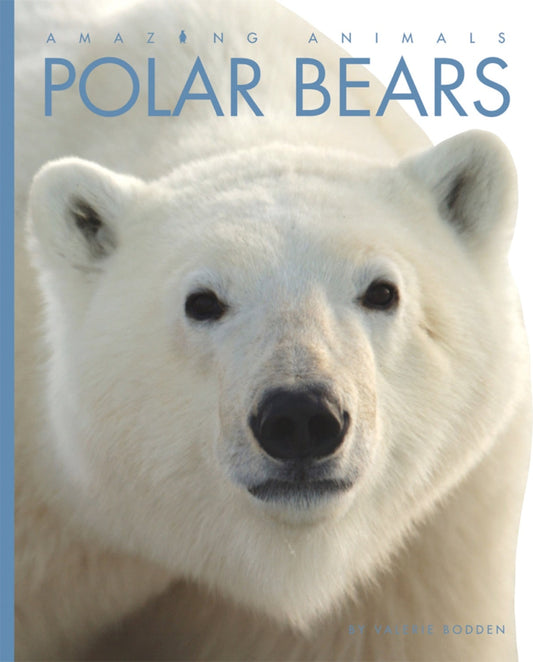 Amazing Animals - Classic Edition: Polar Bears by The Creative Company Shop
