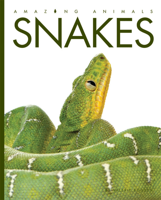 Amazing Animals - Classic Edition: Snakes by The Creative Company Shop