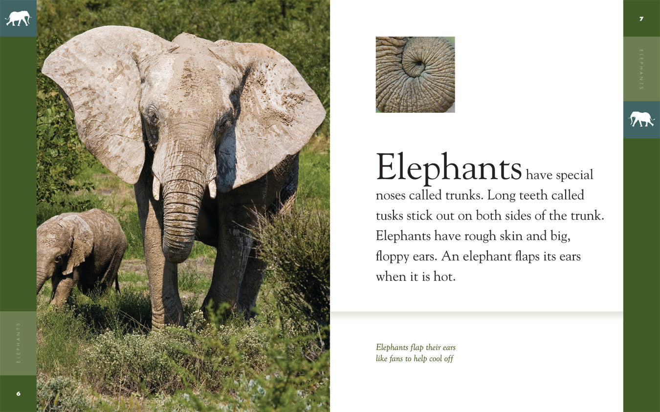 Amazing Animals - Classic Edition: Elephants by The Creative Company Shop