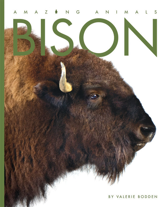 Amazing Animals - Classic Edition: Bison by The Creative Company Shop
