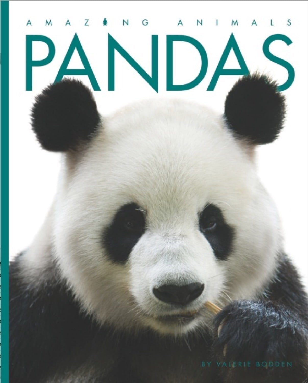 Amazing Animals - Classic Edition: Pandas by The Creative Company Shop
