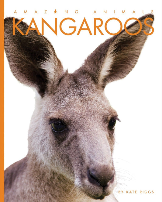 Amazing Animals - Classic Edition: Kangaroos by The Creative Company Shop