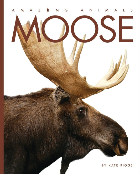 Amazing Animals - Classic Edition: Moose by The Creative Company Shop