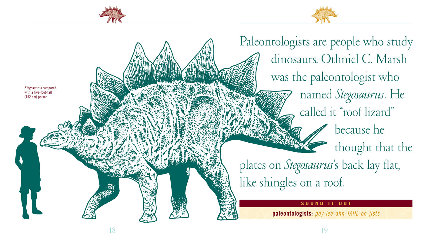 When Dinosaurs Lived: Stegosaurus by The Creative Company Shop