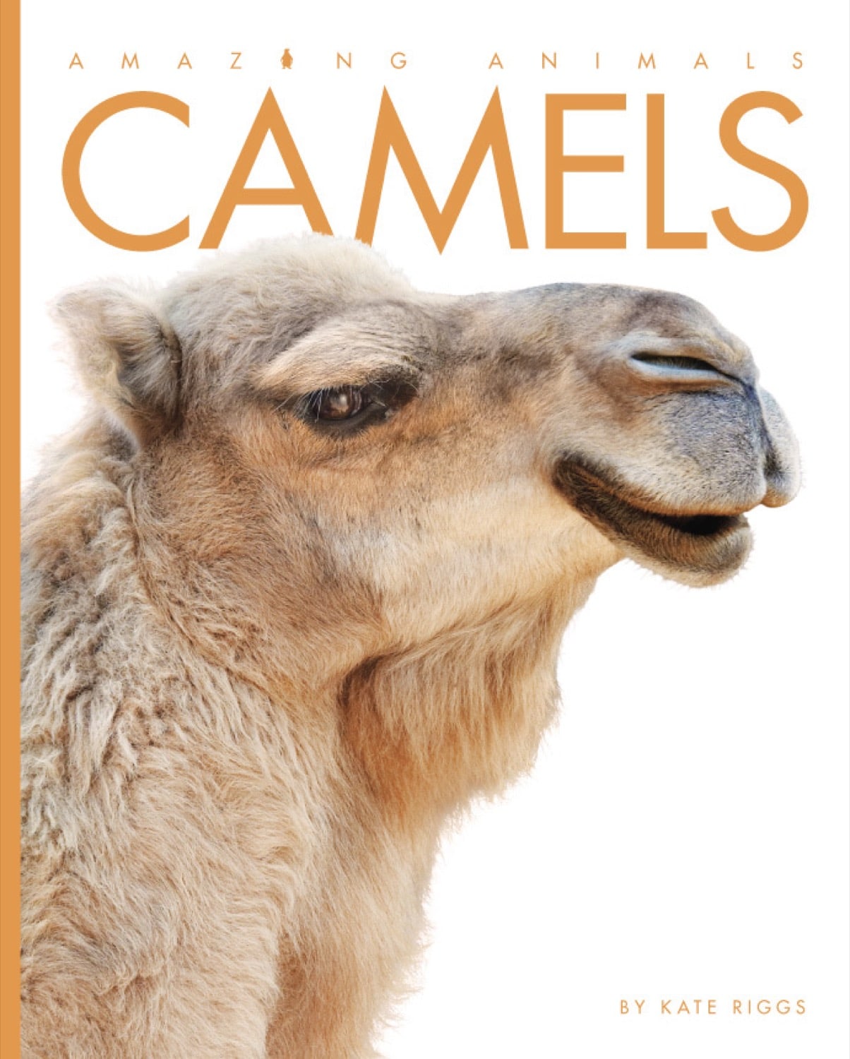 Amazing Animals - Classic Edition: Camels by The Creative Company Shop