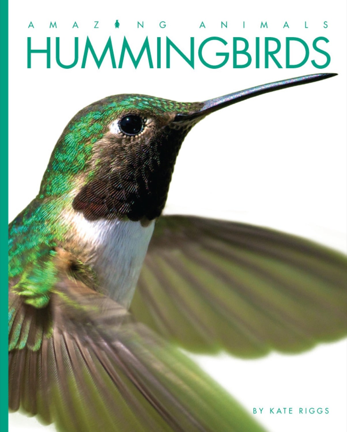 Amazing Animals - Classic Edition: Hummingbirds by The Creative Company Shop
